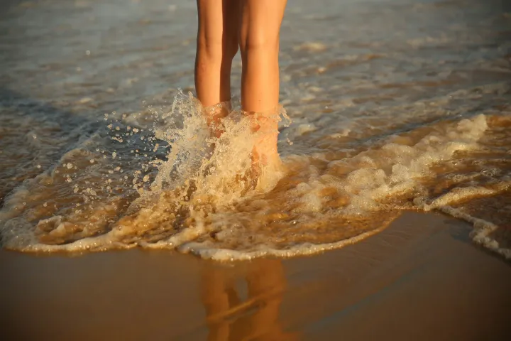 Imagen representativa sobre psicología y logopedia