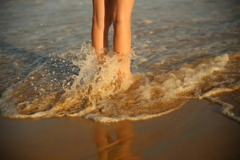 Imagen representativa sobre psicología y logopedia